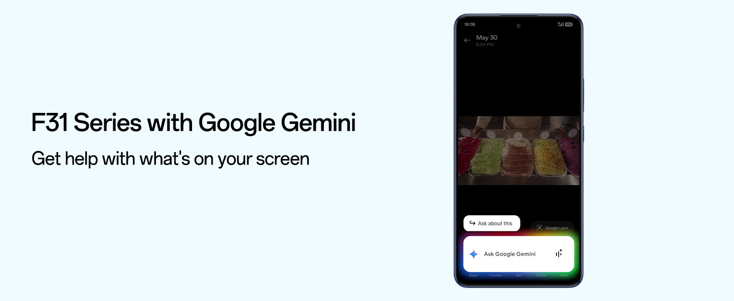 F31 Google Gemini