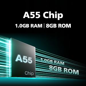 A55 Chip